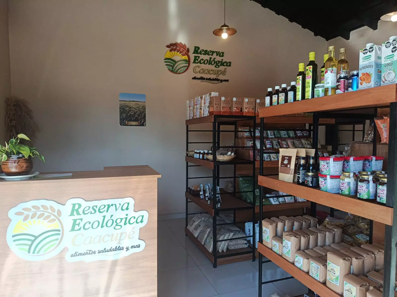 Reserva Ecologica Caacupe, Pasta, leche de alemendra, aceite, saludables