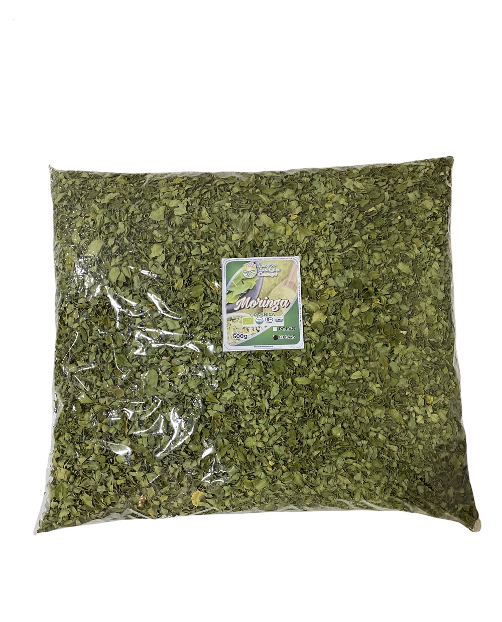 Moringa_hojasb.jpg